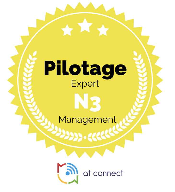 Management Pilotage Expert N3