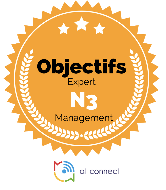 Management Objectif Pilote N3